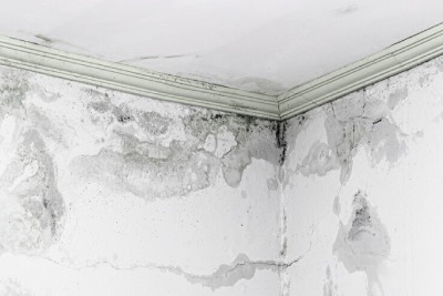 Construction Joint & Expansion Joint